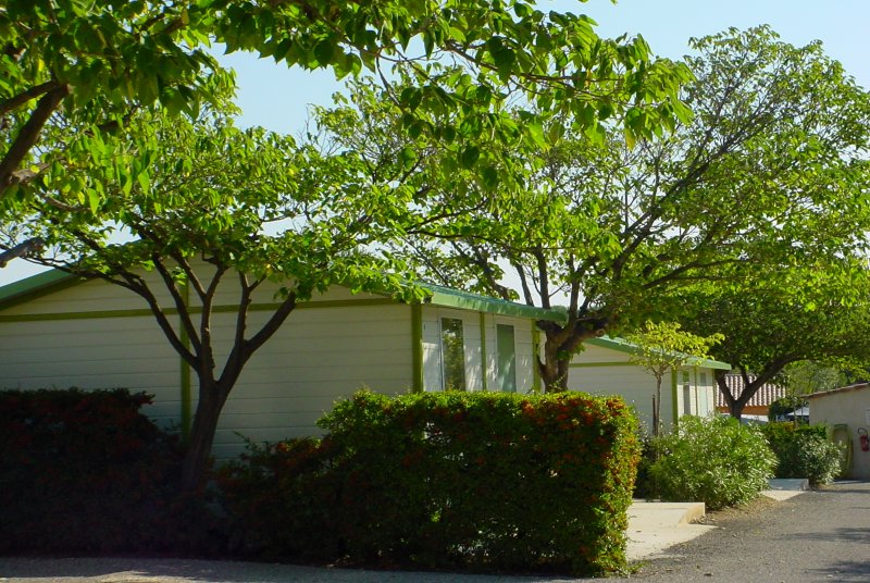 Marius Provenza-Alpi-Costa Azzurra - Martigues visuel 10/10 Marius Provenza-Alpi-Costa Azzurra - Martigues visuel 10/10