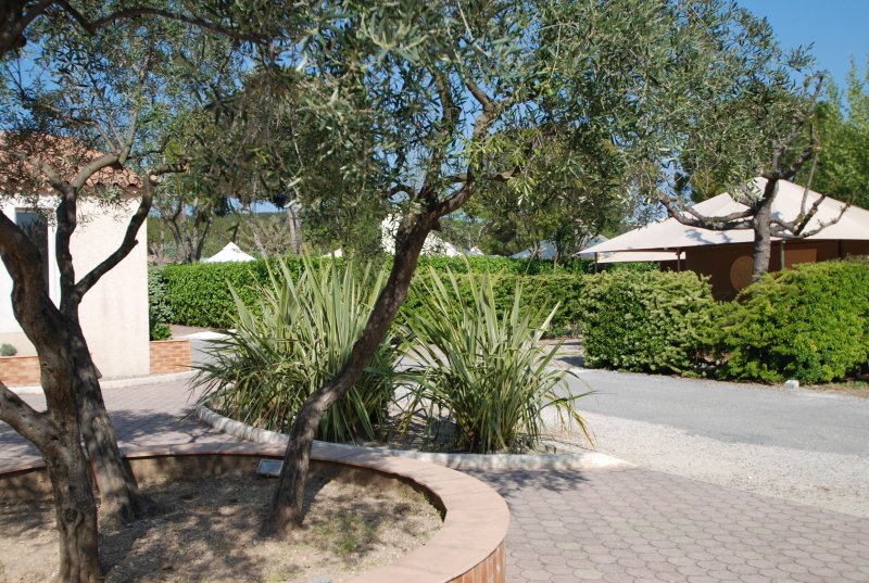 Marius Provenza-Alpi-Costa Azzurra - Martigues visuel 5/10 Marius Provenza-Alpi-Costa Azzurra - Martigues visuel 5/10