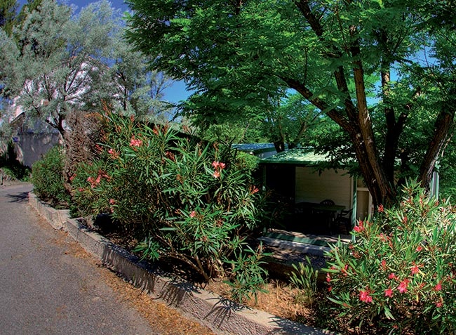 Marius Provenza-Alpi-Costa Azzurra - Martigues visuel 6/10 Marius Provenza-Alpi-Costa Azzurra - Martigues visuel 6/10