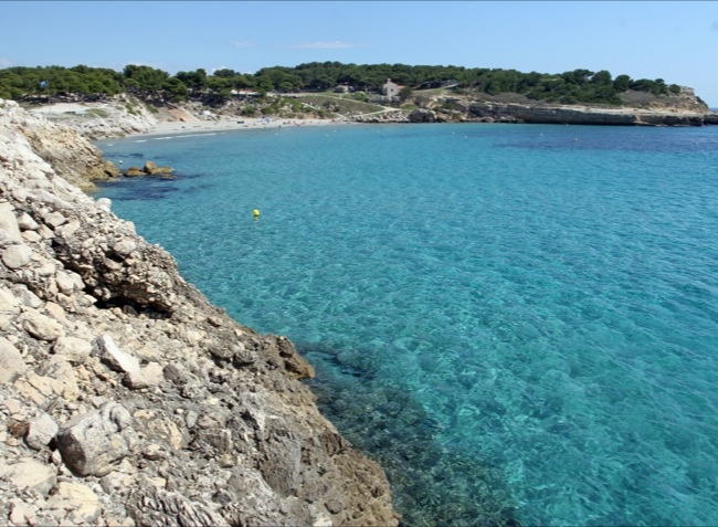 Marius Provenza-Alpi-Costa Azzurra - Martigues visuel 9/10 Marius Provenza-Alpi-Costa Azzurra - Martigues visuel 9/10