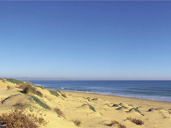 Marjal Bungalows Resort Costa Blanca - Guardamar del Segura visuel 2/9