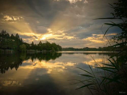 Mas de la Forêt Rodano-Alpi - Heyrieux visuel 1/1
