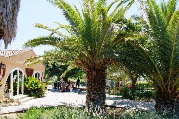 Mas de Pierredon Provenza-Alpi-Costa Azzurra - Sanary-sur-Mer visuel 12/20 Mas de Pierredon Provenza-Alpi-Costa Azzurra - Sanary-sur-Mer visuel 12/20