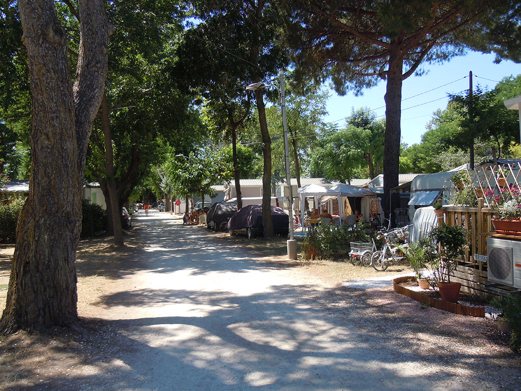 Miramar Provenza-Alpi-Costa Azzurra - La Londe-les-Maures visuel 2/2