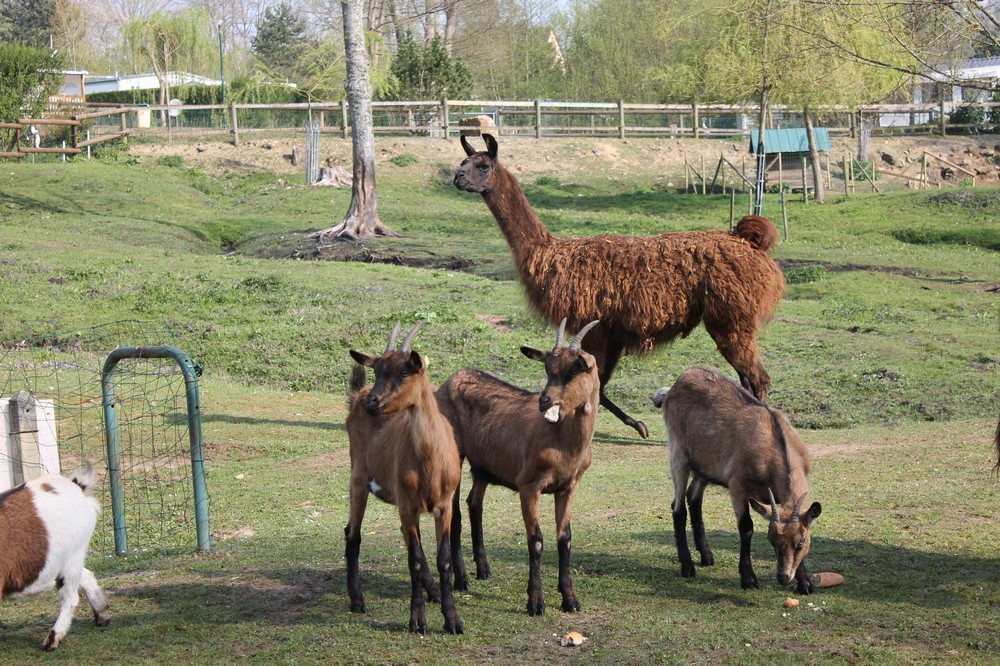 Monaco Parc Bassa Normandia - Longny-au-Perche visuel 6/6