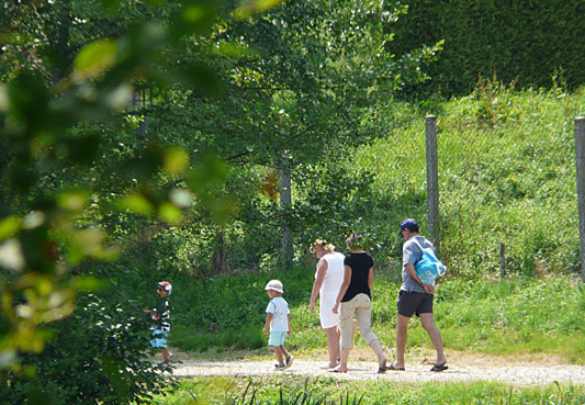 Montréal Limosino - Saint-Germain-les-Belles visuel 6/11