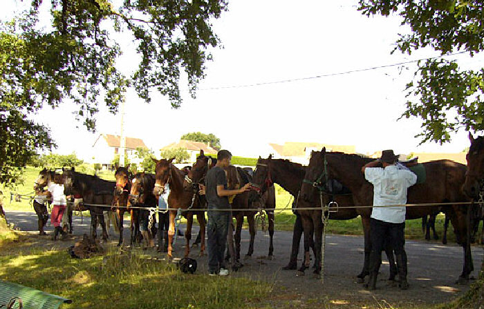 Montréal Limosino - Saint-Germain-les-Belles visuel 9/11