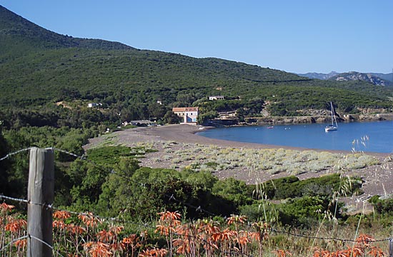 Morsetta Corsica - Calenzana visuel 5/8