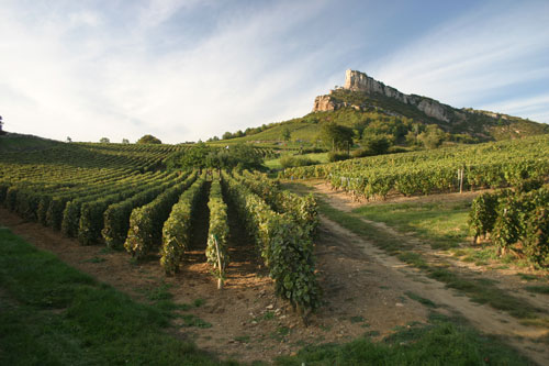 Moulin de Collonge Bourgogne - Saint-Boil visuel 5/7