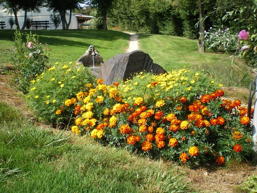 Moulin de Collonge Bourgogne - Saint-Boil visuel 6/7