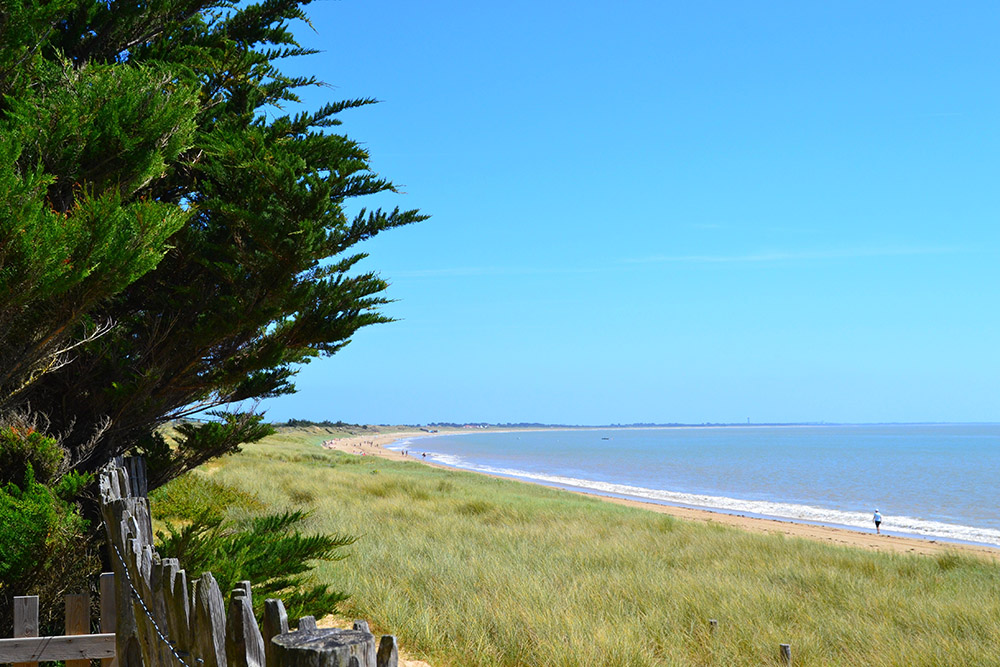 Camping Municipal de la Court Paesi della Loira - La Guérinière visuel 9/10 Camping Municipal de la Court Paesi della Loira - La Guérinière visuel 9/10