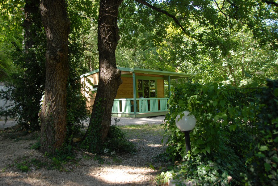 Nature et Rivière Linguadoca-Rossiglione - Sainte-Énimie visuel 8/11