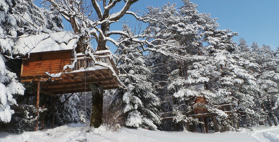 Nids des Vosges Lorena - Champdray visuel 3/10