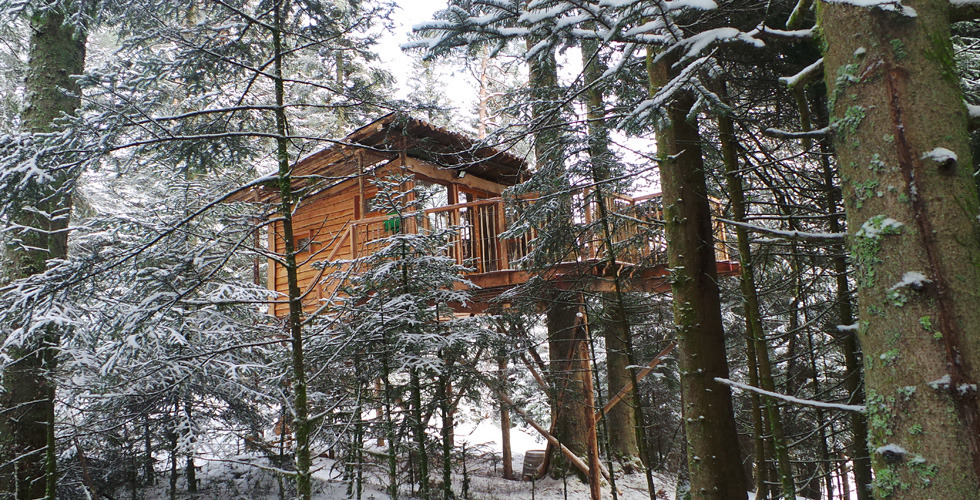 Nids des Vosges Lorena - Champdray visuel 4/10