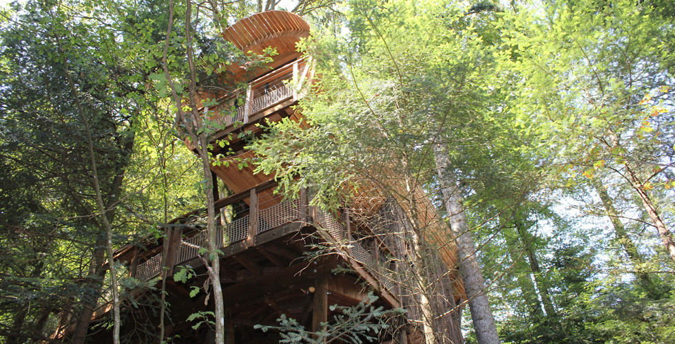 Nids des Vosges Lorena - Champdray visuel 5/10