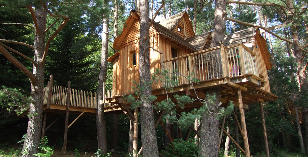 Nids des Vosges Lorena - Champdray visuel 8/10