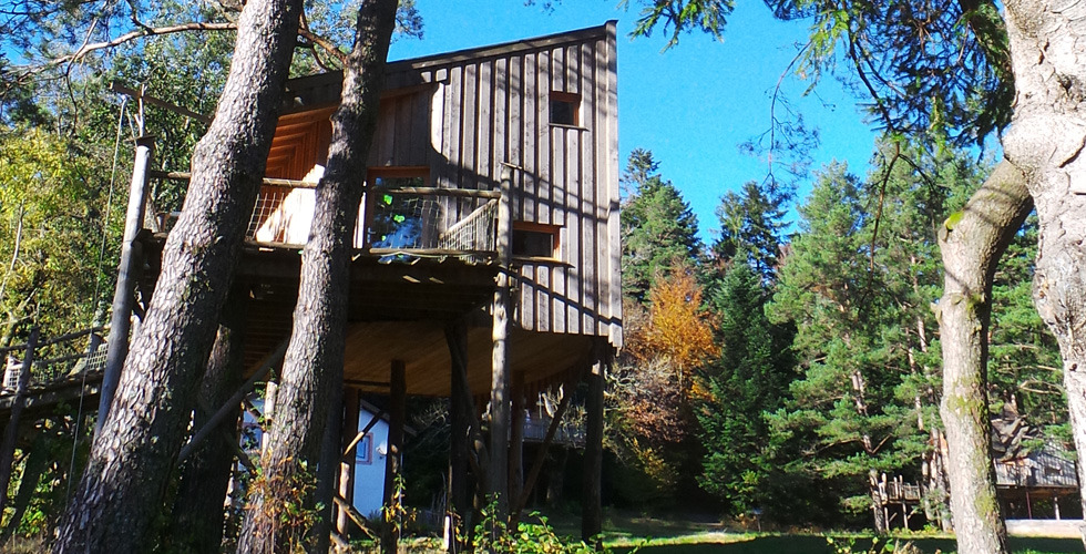 Nids des Vosges Lorena - Champdray visuel 10/10