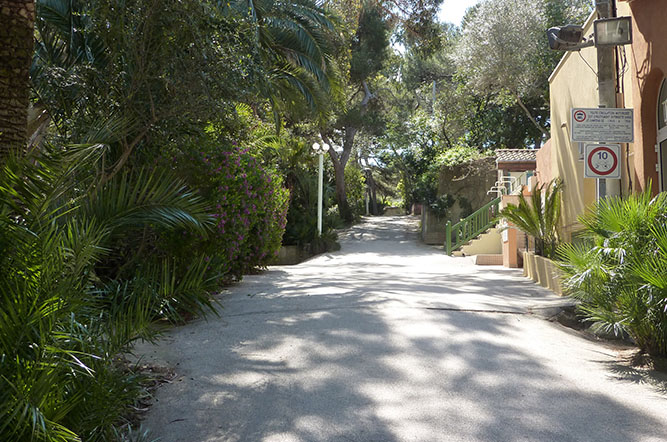 Olbia Provenza-Alpi-Costa Azzurra - Hyères visuel 5/10
