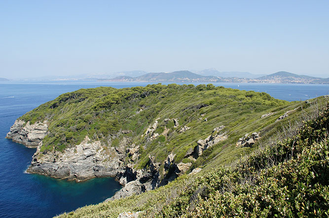 Olbia Provenza-Alpi-Costa Azzurra - Hyères visuel 8/10