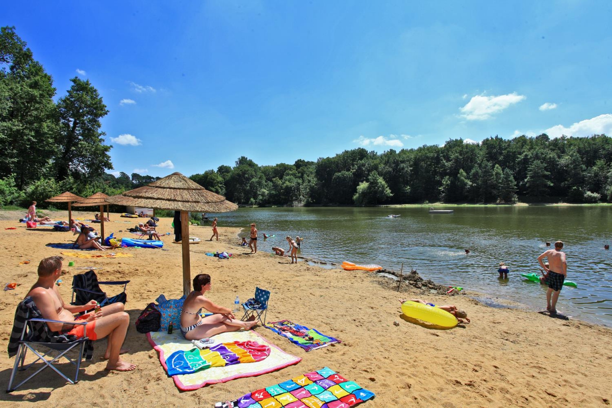 Parc de Fierbois Centro-Valle della Loira - Sainte-Catherine-de-Fierbois visuel 9/10 Parc de Fierbois Centro-Valle della Loira - Sainte-Catherine-de-Fierbois visuel 9/10