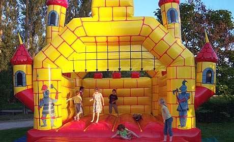 Parc des Joumiers Bourgogne - Saint-Sauveur-en-Puisaye visuel 3/7