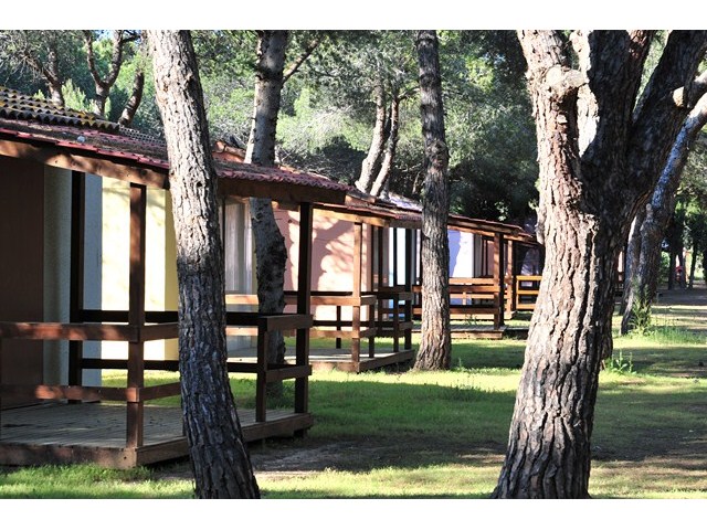 Parc Résidentiel Bellevue Linguadoca-Rossiglione - Valras-Plage visuel 12/12