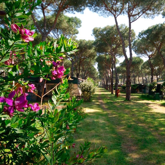 Parco della Gallinara Lazio - Anzio visuel 5/11