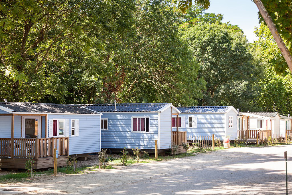 Paris Est Île-de-France - Champigny-sur-Marne visuel 12/15