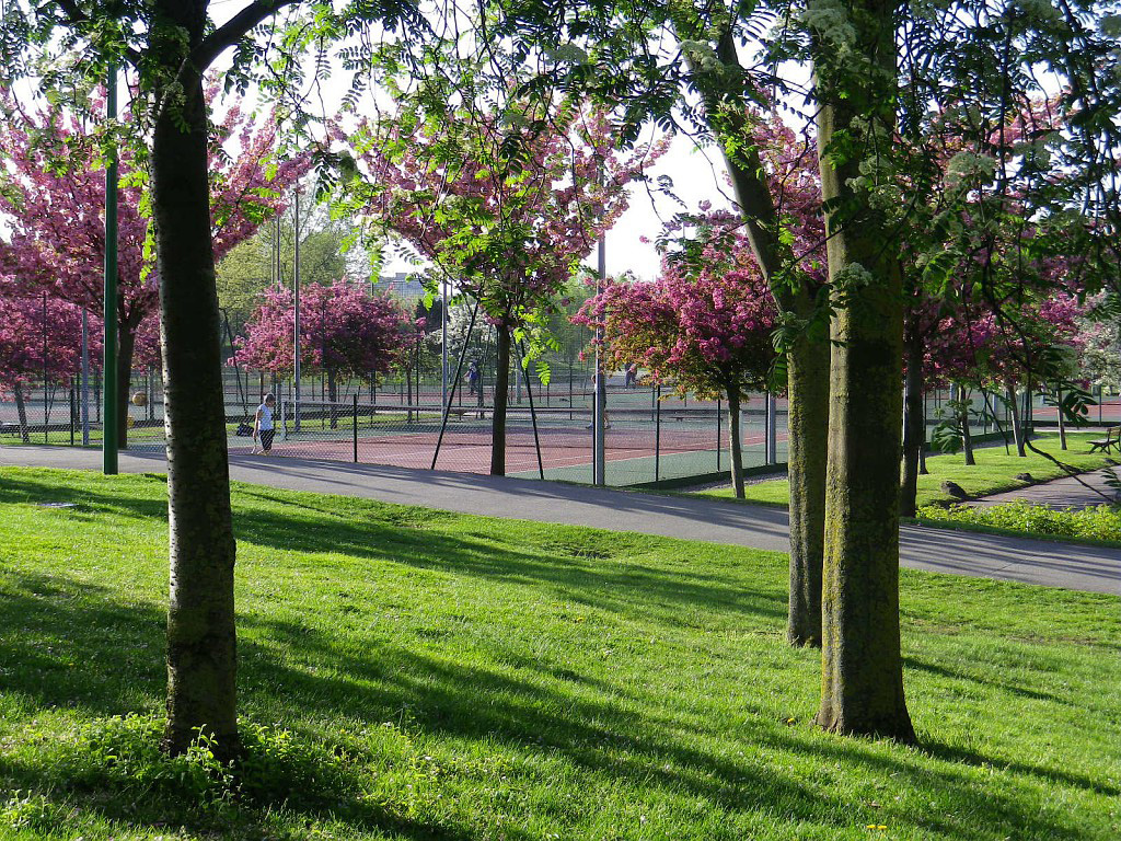Paris Est Île-de-France - Champigny-sur-Marne visuel 13/15