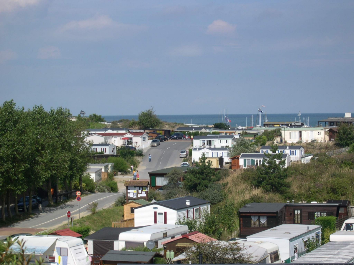 Perroquet Nord-Passo di Calais - Bray-Dunes visuel 1/1 Perroquet Nord-Passo di Calais - Bray-Dunes visuel 1/1