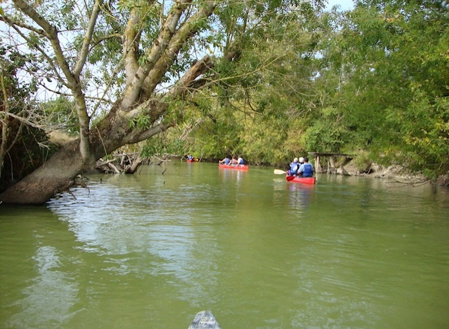 Plein Sud Paesi della Loira - Saint-Jean-de-Monts visuel 4/11
