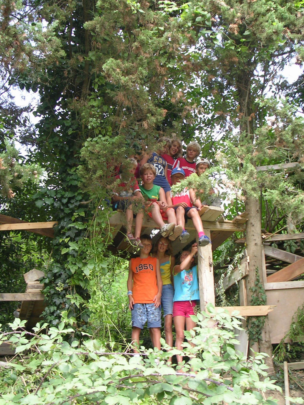 Podere Sei Poorte Marche - Senigallia visuel 4/10