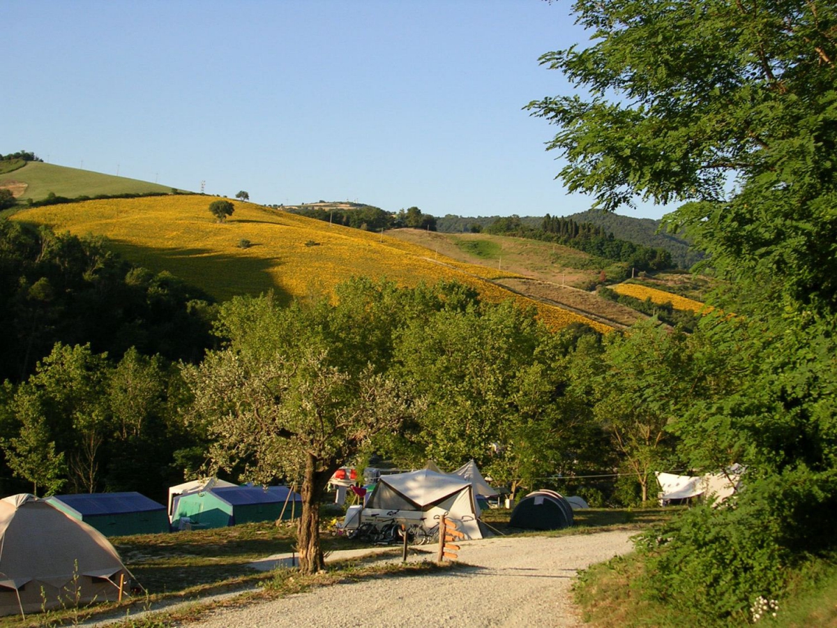 Podere Sei Poorte Marche - Senigallia visuel 9/10