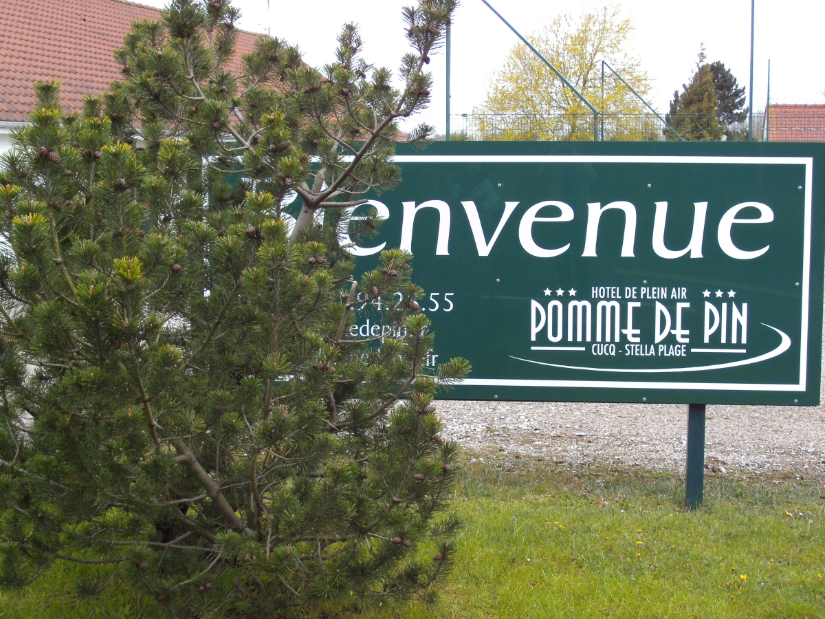 Pomme De Pin Nord-Passo di Calais - Cucq visuel 1/1 Pomme De Pin Nord-Passo di Calais - Cucq visuel 1/1