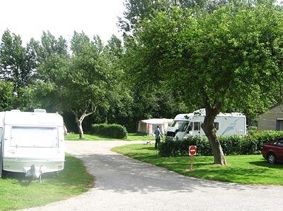 Pommiers des Trois Pays Nord-Passo di Calais - Licques visuel 4/11