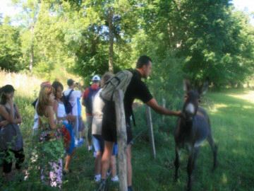 Pont de Braye Linguadoca-Rossiglione - Chastanier visuel 3/11
