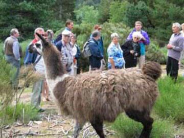 Pont de Braye Linguadoca-Rossiglione - Chastanier visuel 9/11