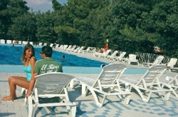 Punta Spin Veneto - Grado visuel 3/8