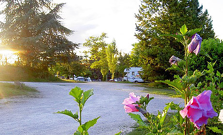 Quercy Vacances Midi-Pirenei - Saint-Pierre-Lafeuille visuel 10/11 Quercy Vacances Midi-Pirenei - Saint-Pierre-Lafeuille visuel 10/11