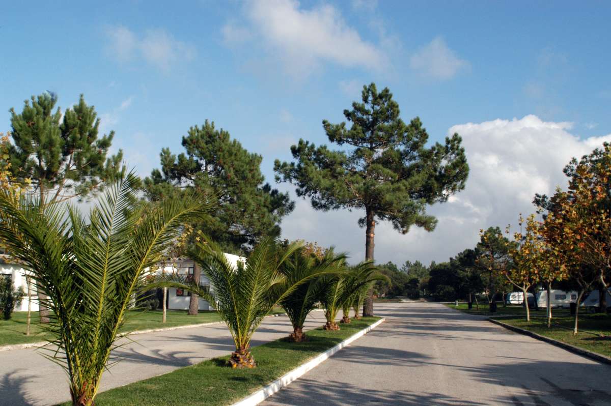 Quiaios Centro - Quiaios visuel 4/5