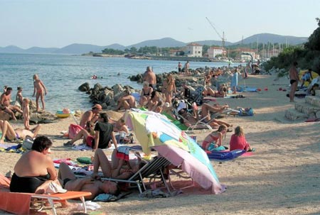 Rapoca Litoraneo-montana - Nerezine visuel 2/6