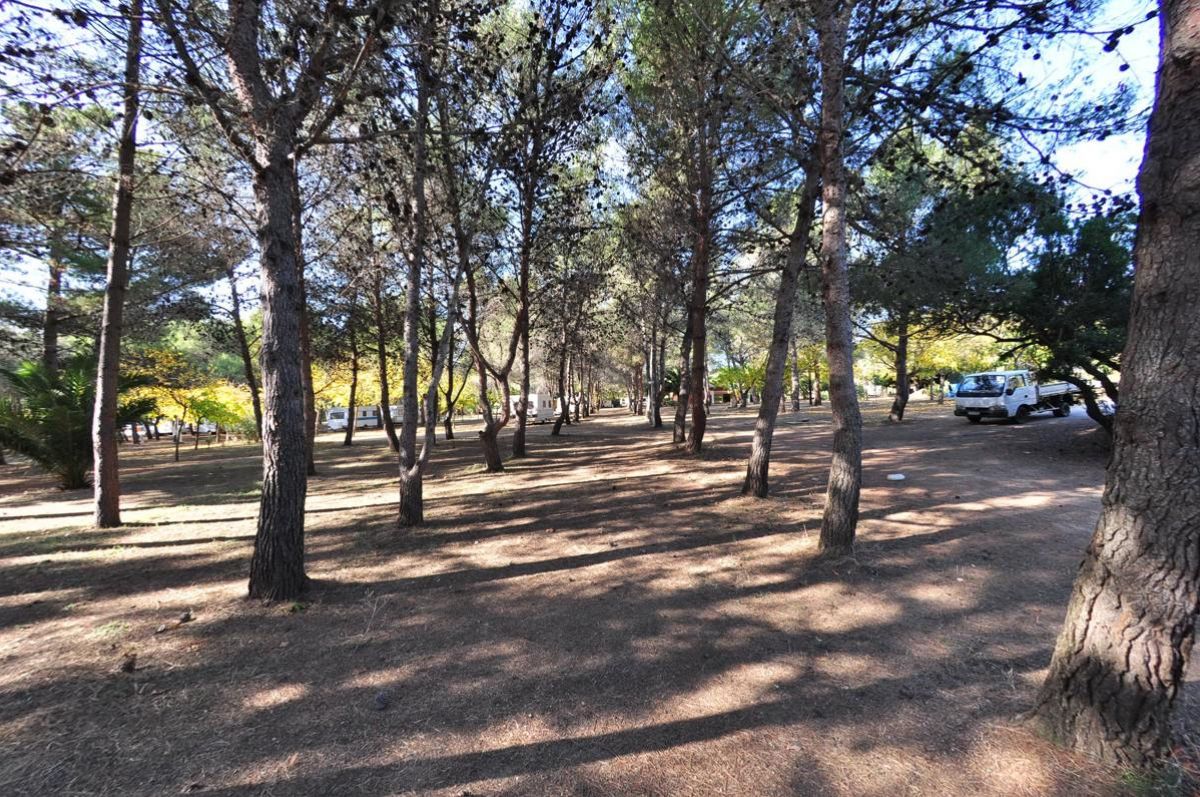 Ras L'Bol Corsica - Olmeto visuel 2/6