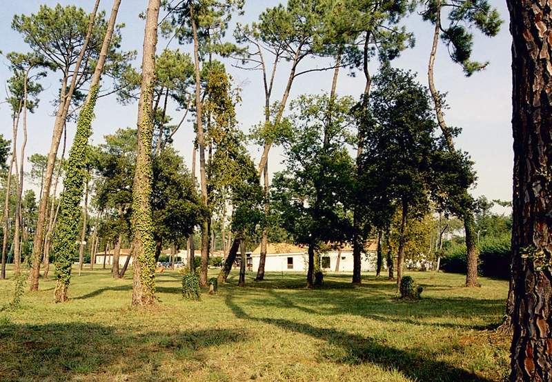 Résidence Club Sous les Pins Poitou-Charentes - Ronce-les-Bains visuel 2/10 Résidence Club Sous les Pins Poitou-Charentes - Ronce-les-Bains visuel 2/10