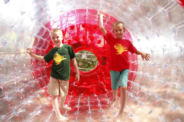 Riva dei Tarquini Toscana - Tarquinia visuel 8/10