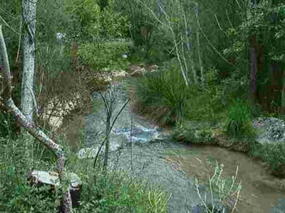 Saint Clair Provenza-Alpi-Costa Azzurra - Moustiers-Sainte-Marie visuel 4/8