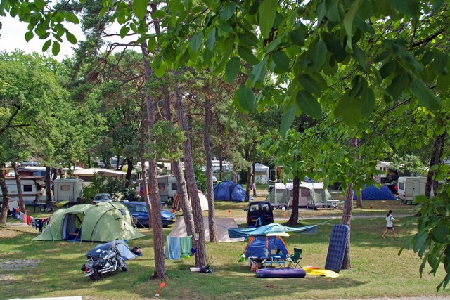 Saint Disdille Rodano-Alpi - Thonon-les-Bains visuel 6/11