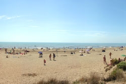 Serignan Plage Nature Domaine Naturiste - Linguadoca-Rossiglione - Sérignan visuel 3/4