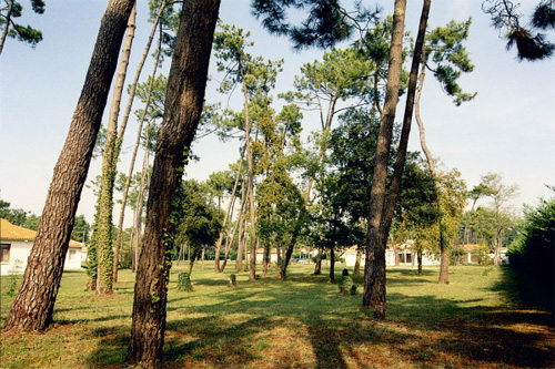 Sous Les Pins Poitou-Charentes - La Tremblade visuel 2/10 Sous Les Pins Poitou-Charentes - La Tremblade visuel 2/10