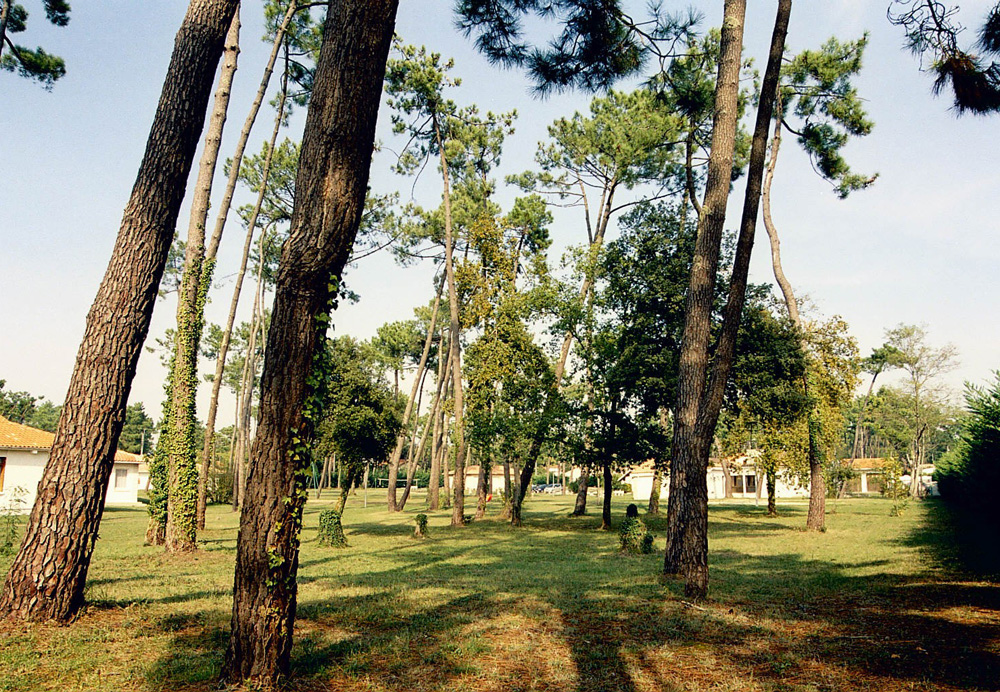Sous Les Pins Poitou-Charentes - La Tremblade visuel 7/10 Sous Les Pins Poitou-Charentes - La Tremblade visuel 7/10