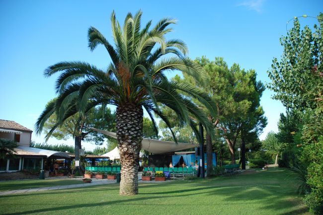 Spinnaker Marche - Fermo visuel 2/11